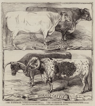 ウォリックでの王立農業協会のショーからの賞の牛 作： Harrison William Weir